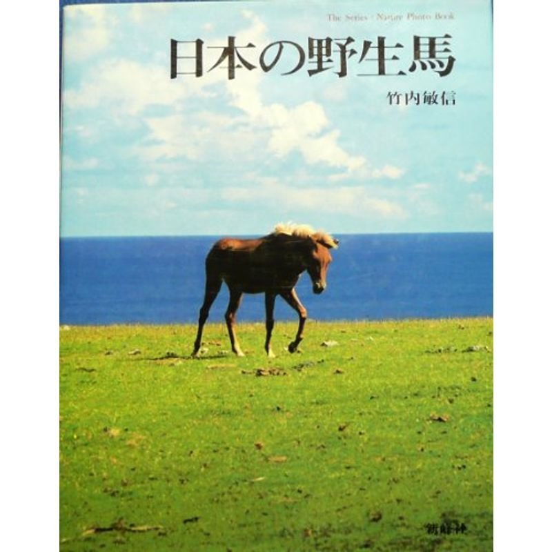 日本の野生馬 (The series:nature photo b)