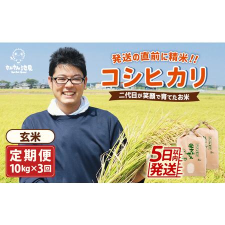 ふるさと納税 二代目が笑顔で育てたコシヒカリ 10kg × 3回 計30kg 〜福井県産 生産者直送！〜（玄米.. 福井県坂井市