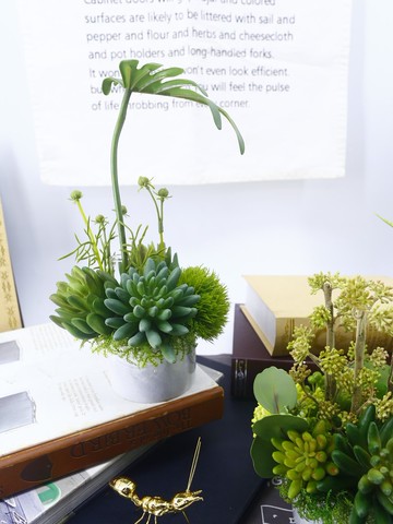 春雨葉多肉草球香氛植栽/擬真植物/人造盆栽/綠化/佈置/禮物