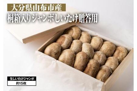 ＜贈答用＞桐箱入りジャンボしいたけ(約600ｇ・約15枚)｜栽培期間農薬不使用 