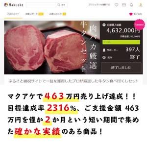 ふるさと納税 牛タン食べつくしセット タン元ステーキ0.15kg 味付けタン中焼肉0.3kg 牛タンハンバーグ2個 京都府舞鶴市