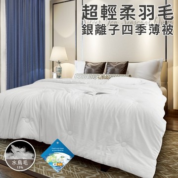 臺灣現貨（隔日出貨）【Hilton 希爾頓】超輕柔羽毛銀離子四季被2.0公斤 四季被 能量被  棉被