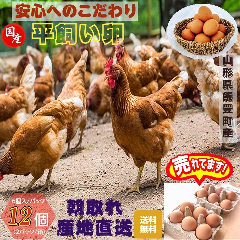 平飼い卵 山形県飯豊町産 １２個（６個入 パック×２パック）産地直送 送料無料