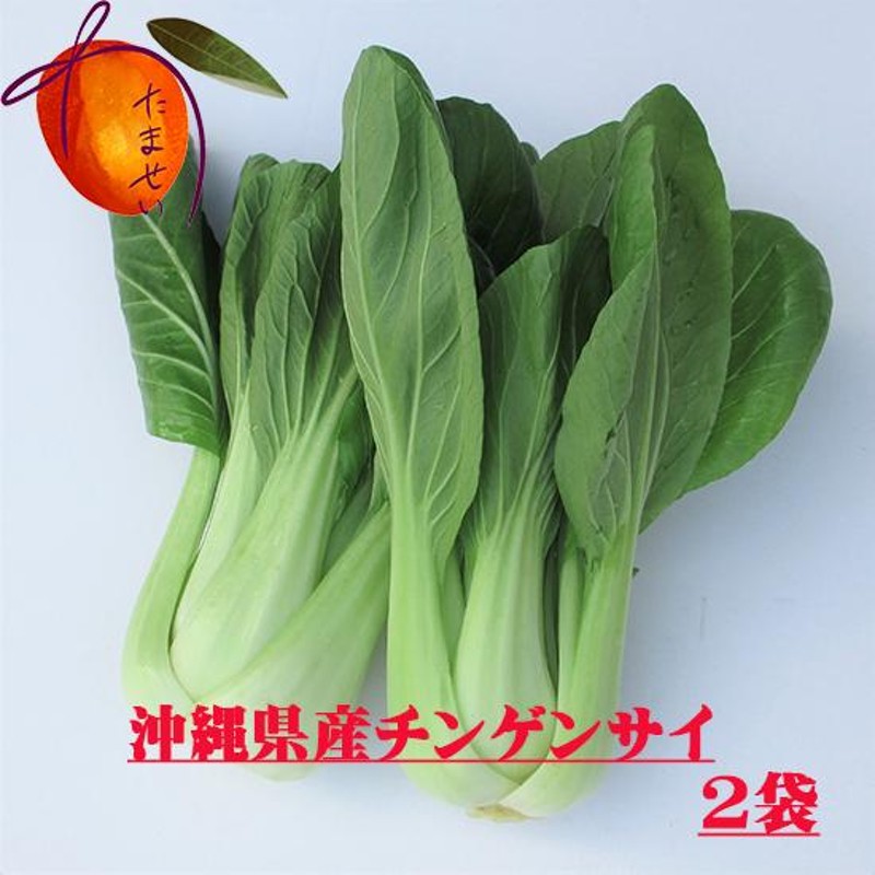 年中ですが、お待たせする場合有】　2袋（約1kg）　沖縄県産野菜　通販　チンゲン菜　【発送　LINEポイント最大0.5%GET　LINEショッピング