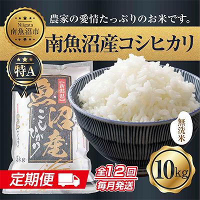 ふるさと納税 南魚沼市 無洗米 南魚沼産 コシヒカリ お米 10kg 精米 (美味しい炊き方ガイド付)全12回