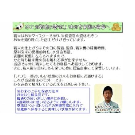 ふるさと納税 12ヶ月定期便 新之助 4kg×12回 計48kg 白米 精米 井上米穀店 新米は11月上旬以降発送 1I08096 新潟県阿賀野市