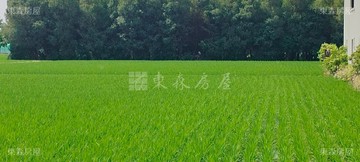 夏田產業園區 抗通膨利器 極具投資價值｜台中市大里區夏田西段