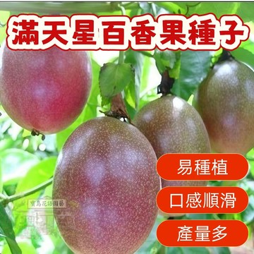 🔥滿天星百香果種子BXG-8西番蓮種子雞蛋果、時鐘果Passion Fruit多汁可口,果實飽滿薄皮四季盆栽 水果種子