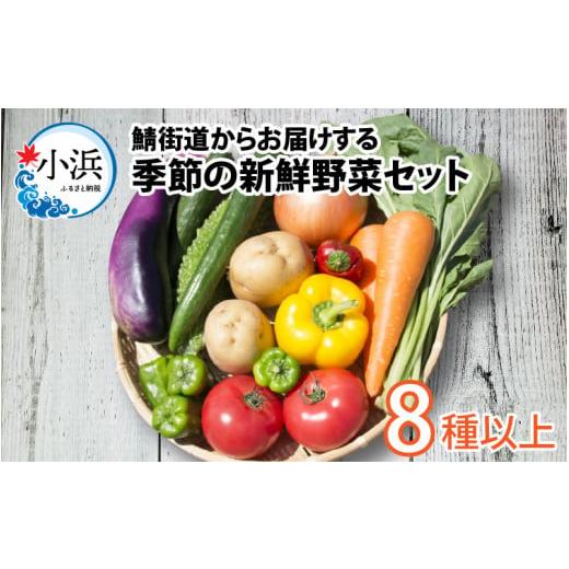 ふるさと納税 福井県 小浜市 鯖街道からお届けする季節の新鮮野菜セット 8種以上 [A-023007]