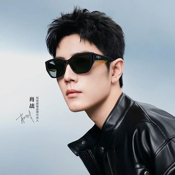 【MOLSION 陌森】不規則膠框偏光太陽眼鏡(MS3118-C11)