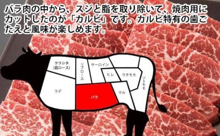 南国高知の土佐和牛焼肉セット600g　3種盛　牛肉セット　肉詰め合わせ