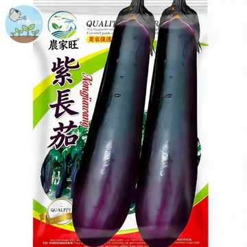 【原廠包裝】紫長茄種子（Purple Long Eggplant）（2克裝）長條茄子 家庭菜園種子 陽台盆栽 抗病豐產