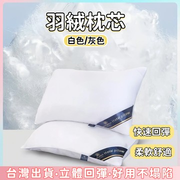 快速出貨🌷枕芯 羽絨枕 吸濕排汗枕 防螨抗菌 飯店枕芯 民宿枕頭  午睡枕 護頸枕
