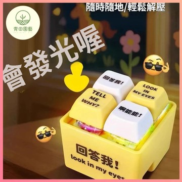 從從容容發光語音按鍵 按鍵 從從容容游刃有餘 語音 解壓按鍵鑰匙扣 小掛件 小禮物 吊飾