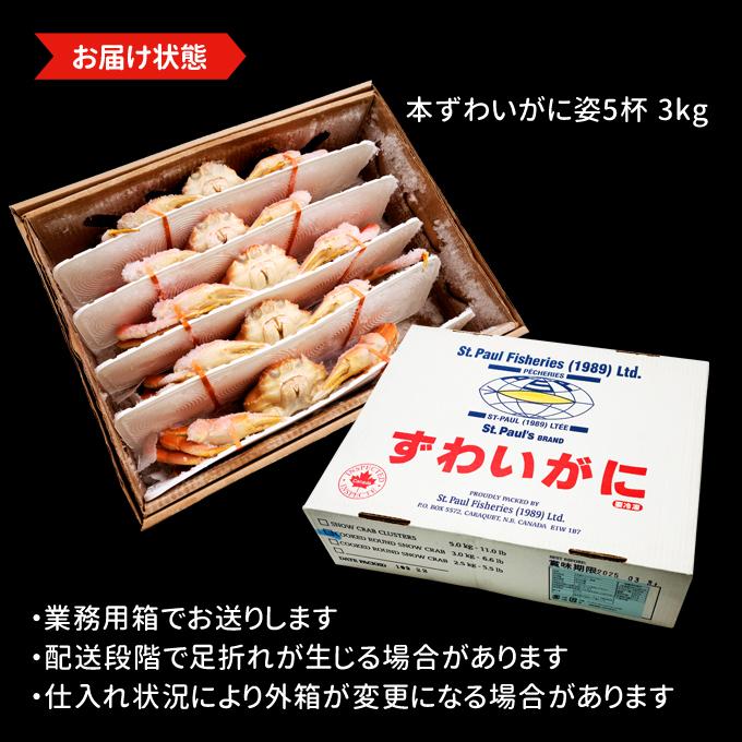 本 ズワイガニ 姿 5杯 約3kg 特大 ボイル ずわいがに ずわい蟹 ズワイ蟹 送料無料 ギフト お取り寄せグルメ