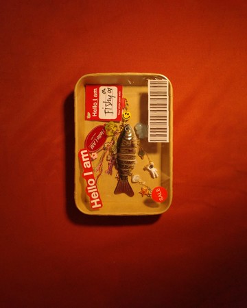 Hello i am Keychain - 003 魚餌鑰匙圈 在太空的魚