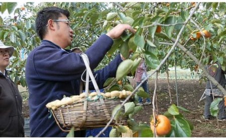 笛吹市産 甲州百目 あんぽ柿 12個 柿 和菓子 ※沖縄県・離島への発送不可となります ※常温配送