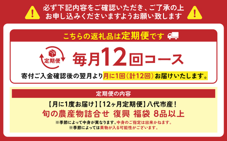 八代市産！旬の農産物詰合せ 復興 福袋 8品以上