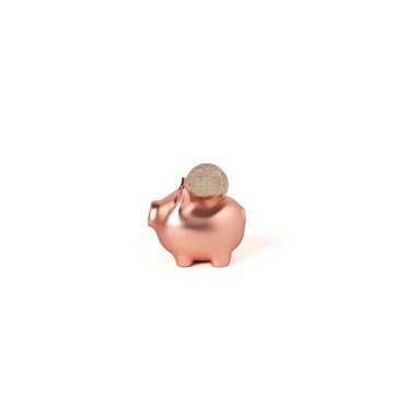 Goldenpig 招財金豬 伍 霧玫瑰金
