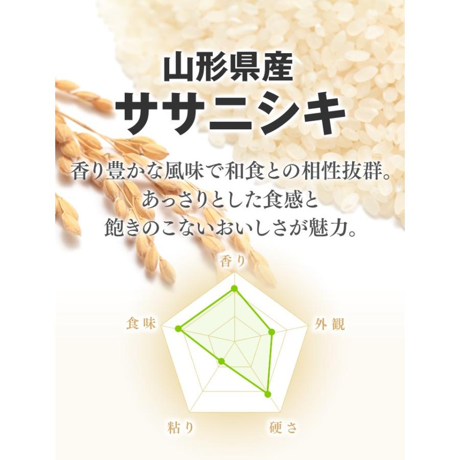 お米 5kg 新米 ササニシキ 山形県産 令和5年産 精米 お米 rys0505