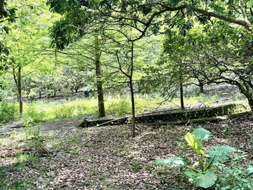 員山望龍埤平坦山坡地+丙種建築用地｜宜蘭縣員山鄉望龍埤段