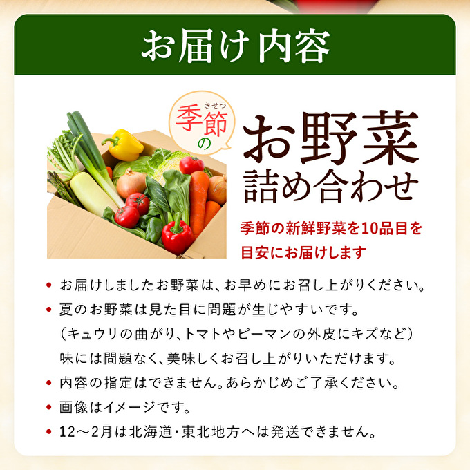 野菜セット 加西市産 季節の野菜詰め合わせセット 季節の野菜10品程度