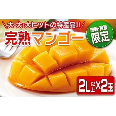 ふるさと納税 ≪数量限定≫日南市産完熟マンゴー(2L以上×2玉) フルーツ 果物 国産 令和6年発送分_BC62-23 宮崎県日南市