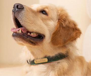 訂製狗牌,寵物刻字項圈防丟神器,定制名牌寵物掛牌,貓咪項圈