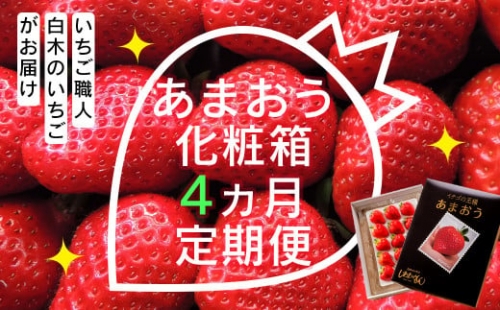 いちご職人 白木のいちご あまおう化粧箱 4回コース