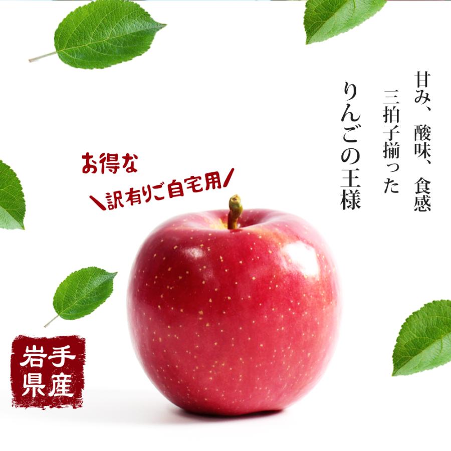 りんご 訳あり 産地直送 岩手県産 サンふじ 2kg 5-10玉入り ふじ ご自宅用 農家直送 林檎 リンゴ 果物 無袋栽培 樹上完熟