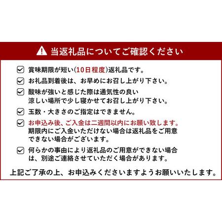 ふるさと納税 宇城市産 あーちゃん家の 不知火 訳あり 10kg 熊本県宇城市