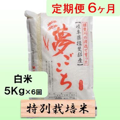 ふるさと納税 池田町 6ヶ月特別栽培米5kg(夢ごこち)全6回