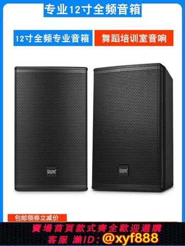 {可打統編 保固一年}專業音箱舞臺演出12寸家用K歌酒吧包房會議培訓演講樂隊舞蹈音響