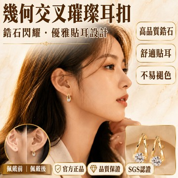 🔥優選好物🔥 輕奢銀針耳環 時尚潮流設計 個性高級配件 個性耳環 垂墜式耳環 簡約耳環 高級耳環