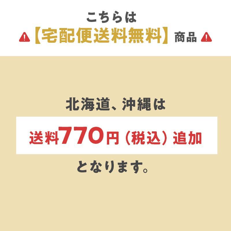 ホタテ貝柱 北海道 乾燥 お取り寄せ 干し貝柱 帆立 おつまみ珍味 酒のつまみ 酒の肴 あて ビールのつまみ 天然 SAサイズ １等 300g