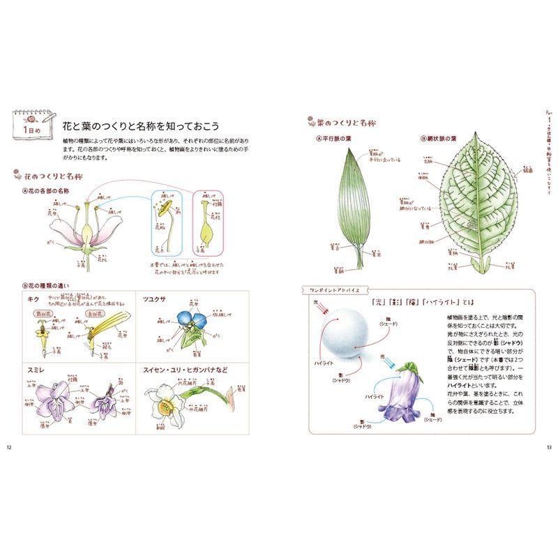 14日間でマスター 描き込み式 色鉛筆で植物画レッスンブック