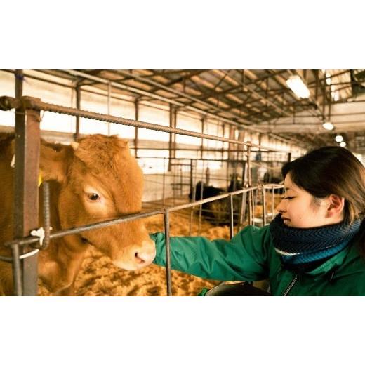 ふるさと納税 熊本県 長洲町 1325　くまもとあか牛ロースブロック2kg（1kg×2）