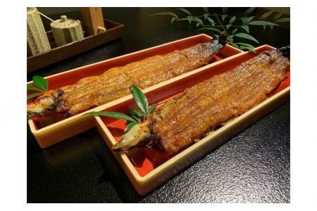 うなぎ辻判　国産鰻炭火蒲焼き　２尾