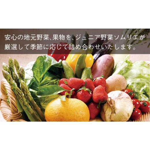 ふるさと納税 長崎県 平戸市 安心 の 地元野菜 と 果物 の お任せセット 平戸市 ／ ひらど新鮮市場 [KAB019]