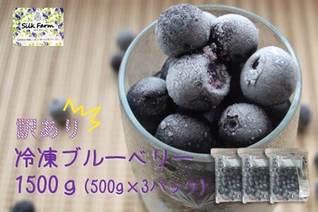 シルクファーム産　冷凍ブルーベリー1500g（500g×3パック）