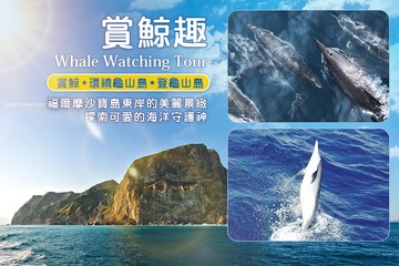 【宜蘭】宜蘭-噶瑪蘭號(賞鯨) #GOMAJI吃喝玩樂券#電子票券#活動/門票