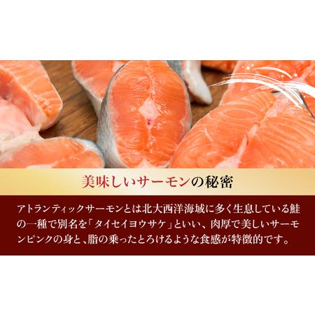 ふるさと納税 とろとろサーモン地獄漬100g×3個 北海道登別市