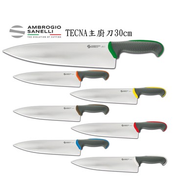 蓋瑞廚物【SANELLI 義大利製 TECNA 主廚刀 30cm】止滑柄 廚房刀 調理刀 廚刀 主廚刀 西式主廚刀 30