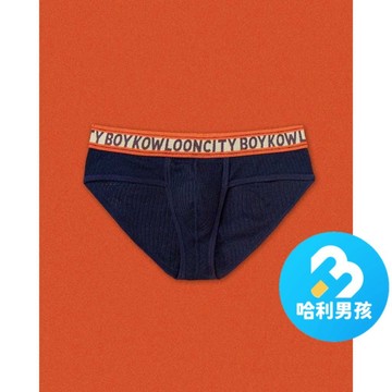 Kowloon City Boy 【台灣現貨】ATHLETIC 系列三角內褲-海軍藍