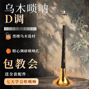 獨家正品🔥嗩吶 嗩吶為王 嗩吶樂器 烏木 專業者 初學者 演奏烏木黑檀木嗩吶樂器全套初學者專業入門d調D調民族大小號喇叭