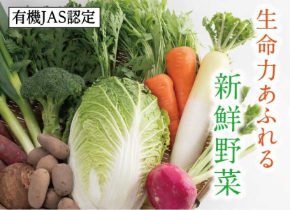 有機JAS認定 冬野菜とお米の詰め合わせセット