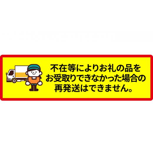 ふるさと納税 北海道 厚岸町 厚岸産 殻付き 牡蠣 Ｌサイズ 20個入 (各回20個×3ヶ月分,合計60個) カキナイフ付き 加熱容器付き [No.5863-06…