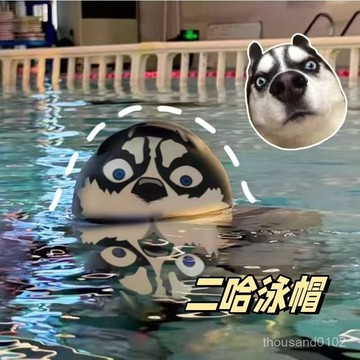 臺灣🙌 速寄🔥哈士奇硅膠泳帽搞怪高彈力加大不勒頭可愛遊泳帽男女衕款防水泳帽