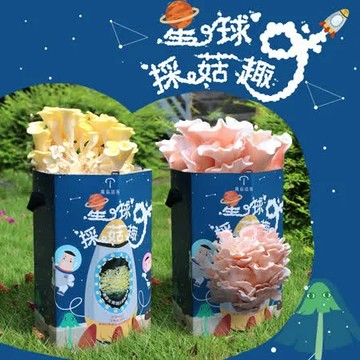 【魔菇部落】星球採菇趣DIY種菇-4盒入(養菇/種菇/任選2種口味)
