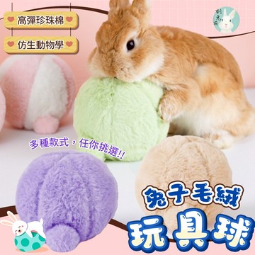 (年中慶最低價) 台灣現貨 兔子玩具 兔兔玩具 兔子球 兔子用品 互動玩具